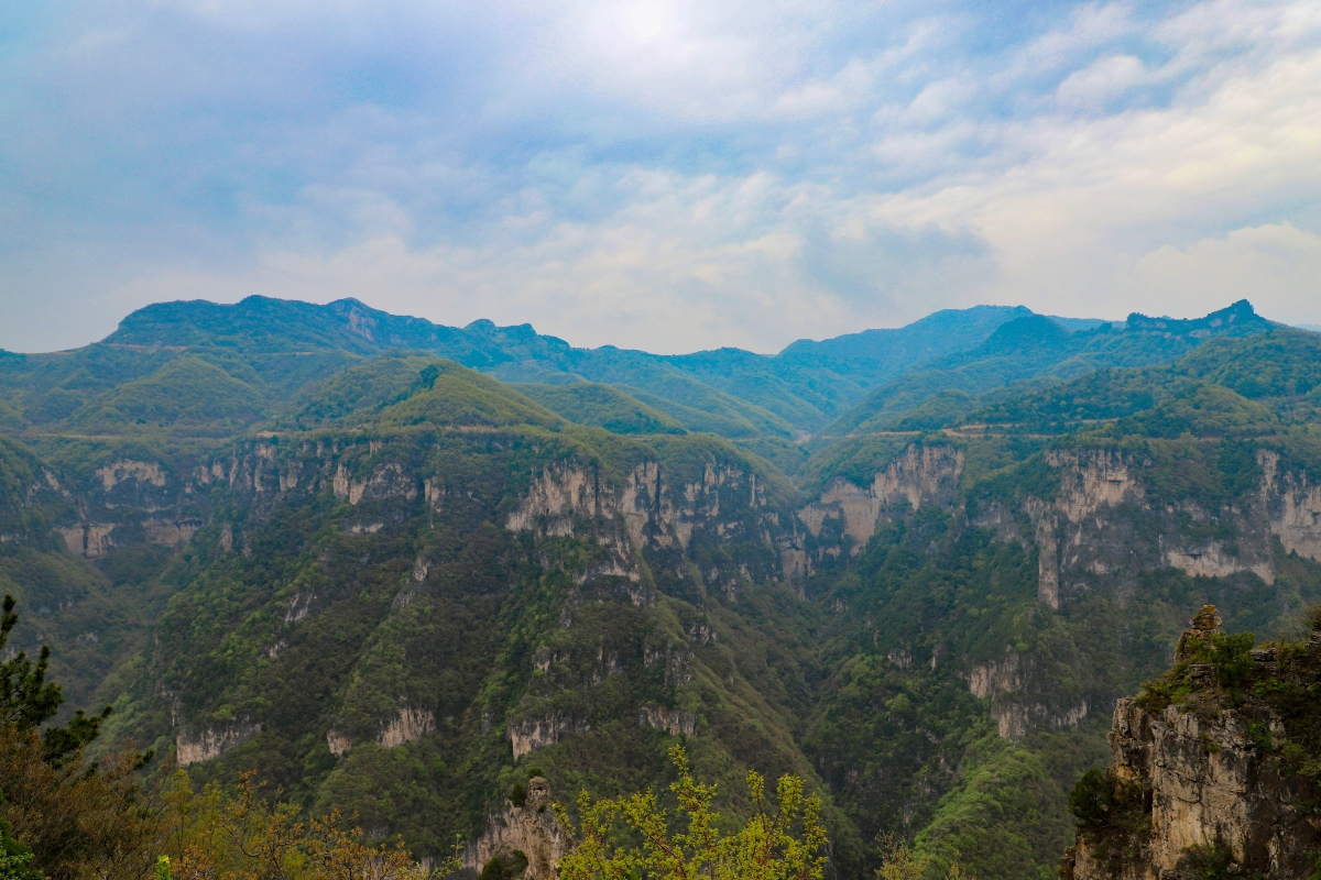 tuanjianzhong.jpg